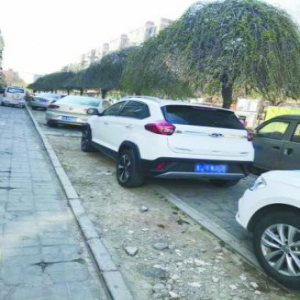 和义西里小区 外来车辆随意占道停 忒乱