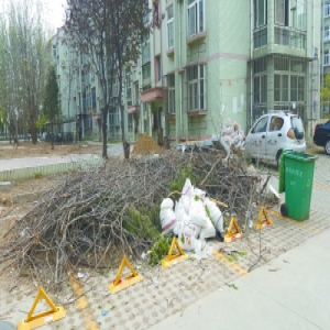 韩村河西小区物业弃管多年 井盖或丢或破大树无端被砍