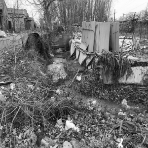 公厕忒脏没人打扫 村民只好自搭旱厕