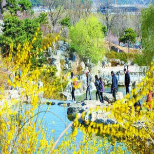 四季有特色月月有活动 200场森林文化活动邀您参加