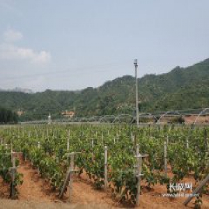 南文都村：产业扶贫引领村民新生活