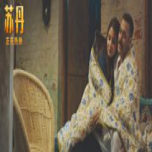 印度电影《苏丹》大获好评 “猴神大叔”带来中年危机正确打开方式