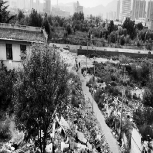 永兴小区外拆迁遗留大片废墟 居民深受其扰