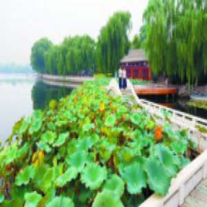 清幽宜人好去处 什刹海6公里环湖步道下月贯通