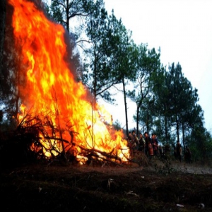 大长老打听洪子杰为人 这是要嫁女儿的节奏啊