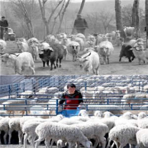 不忘初心使命 永立时代潮头——写在中国共产党成立98周年之际