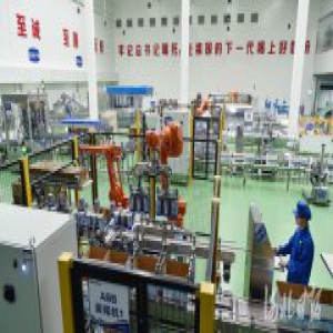 【大力推进创新创业 切实服务发展服务民生】鹿泉区“双创双服”重实干要实绩