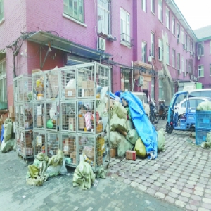 和平里七区 停车乱环境脏痼疾咋破解