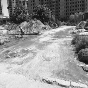 永定镇四季怡园小区 居民出行仅靠一条土路