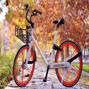 摩拜胡玮炜辞去CEO职位 总裁刘禹接任