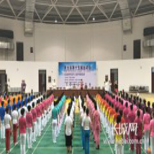 第十五届省运会群体组老年人健身球操竞赛在赞皇举行