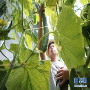 坝上张北：全域旅游富万家