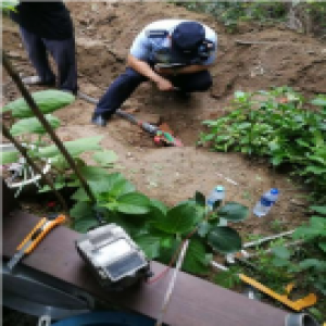 蓬莱公寓一层业主肆意占绿地挖鱼池毁电缆