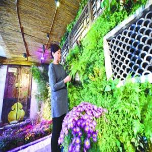 东四街道胡同腾退小餐馆建“共享花房”