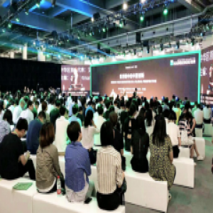 租葛亮王辉：租赁