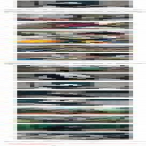 【新春走基层】快看！熊猫和大象都在吃饺子庆新春