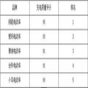 质量排名靠前的绿能电动车，充电技术更是出彩