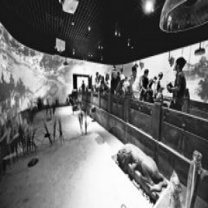 运河古镇博物馆正式迎接市民 首日展出镇馆之宝