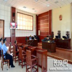 邢台市集中公开宣判五起污染环境刑事犯罪案件