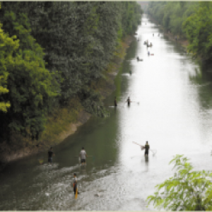 石津干渠上演“捕鱼大战” 这么玩太危险