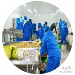 宁晋县1435家合作社拓宽农民致富路