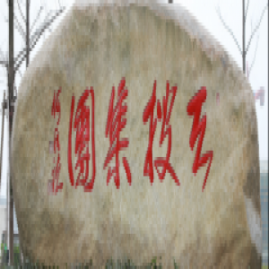 十三年移商路，浙江天搜科技从开拓者长成领军者