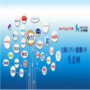 随锐会见通过“PK”体系认证，助力国产信息化转变