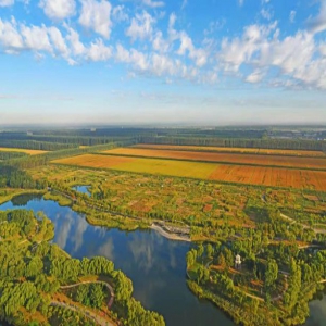 河北唐山曹妃甸区：以财政发展保民生福祉