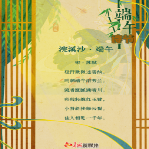 端午诗节丨粽香千万里，惟愿安康幸福长