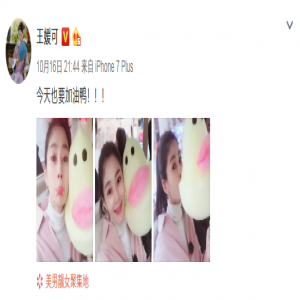 王媛可晒与“小黄鸭”合影 网友：纯妃娘娘也要加油鸭