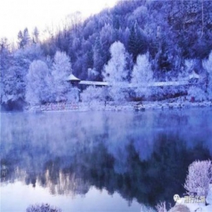 三十五载谱华章，继往开来踏新程