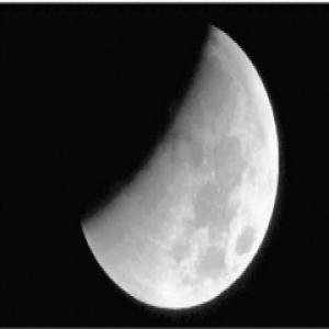 杭城中小学生，一夜不眠观星追月