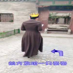 秦海璐看剧本走路两不误 画风突变拐去洗手间逗趣幽默