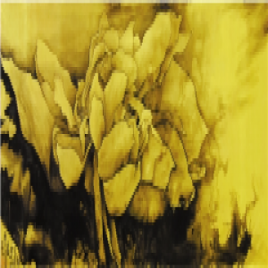 舒卷开合任天真