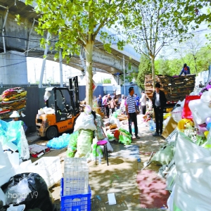 新发地农产品批发市场西侧 废品站藏身京沪高铁桥下