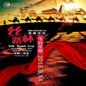 丝路杯（国际）电影扶植计划公益活动成功启动