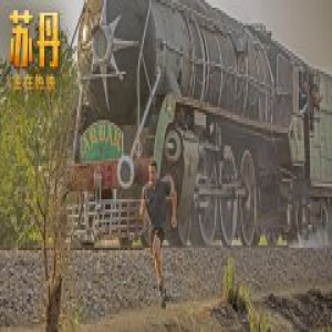 印度电影《苏丹》“魔鬼训练”特辑曝光 9.2分励志口碑之作