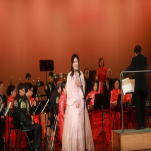 “杨菊花《红楼梦》专题音乐会”在深圳完美落幕