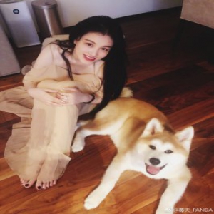 爱狗的女孩最善良 几张图揭秘葛天是合格的铲屎官