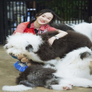 《妻子3》霍思燕李娜被哈士奇搭肩