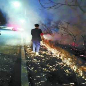 山坡下突发火情 公交人停车扑救