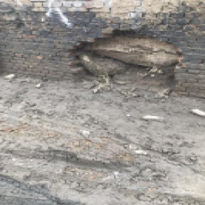 都市芳园小区邻近臭水沟 雨后污水倒灌