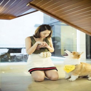 《女儿2》陈乔恩与男嘉宾逗狗超温馨