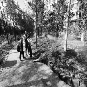 昔日荒地换新颜 广外城市森林逸清园开园