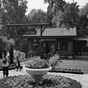 隐藏竹林装修富丽堂皇 双秀公园里为啥有俩售楼处