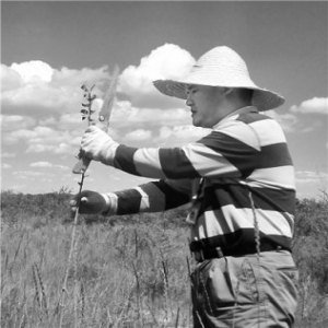 为北京蓝天种下绿色防护带