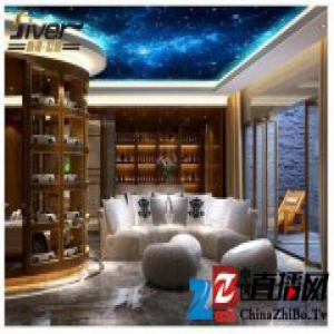 详解|硅藻泥与世威艺术涂料实力对比