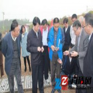安徽发现5亿吨页岩油储量 价值约1575亿美元