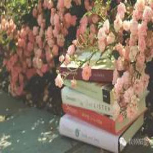 教师招聘考试必背知识要点