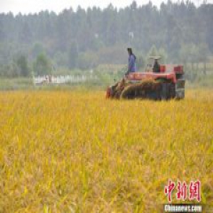 发改委：中国农民收入增速持续下降 增收面临两大挑战